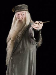 Professor Dumbledore